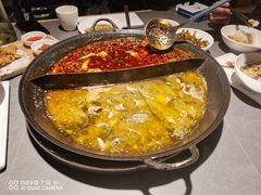 -吃城都·鱼蛙火锅(西玉龙街店)