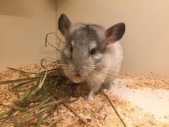 -龙猫仔乐园(惠福东路店)