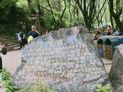 -惠山国家森林公园
