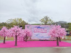 -盈香心动乐园