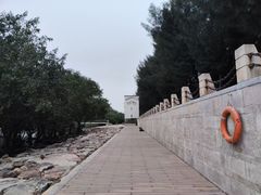 -宝安西湾红树林湿地公园