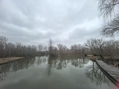 -溱湖国家湿地公园