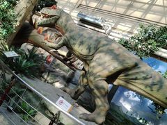 -国家自然博物馆