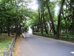 -井之头恩赐公园