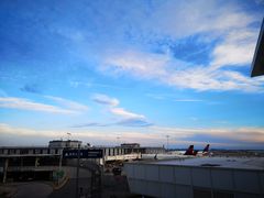 -约翰·菲茨杰拉德·肯尼迪国际机场