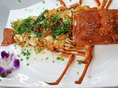 -春园海鲜广场D区6号(钟姐海鲜加工店)