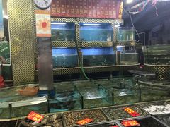 -湛江渔港·大排档(乐园路总店)