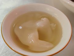 鸡汤汆海蚌-聚春园自助餐厅(东街口店)