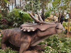 -沈阳植物园