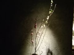-無用生活空间(北京店)