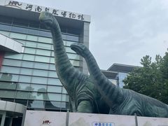 -河南自然博物馆