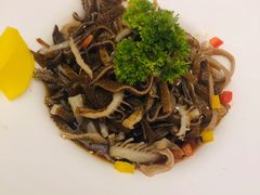 -新名仕新白玉兰餐厅