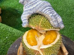 -都念榴莲·城市榴莲