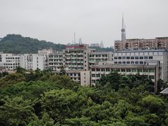 -广州中医药大学第一附属医院(总院)