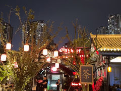 -铁像寺水街