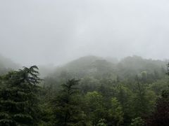 -西安祥峪森林公园