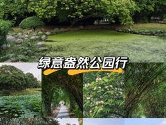 -堤角公园