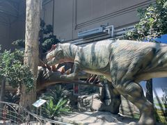 -国家自然博物馆