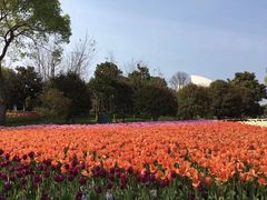 -上海鲜花港