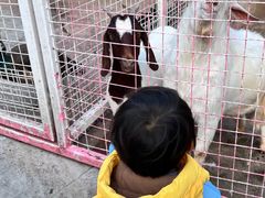 -J Create城市露营咖啡·简餐·宠物(上海动物园店)