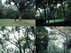 -杭州城北体育公园