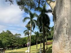 -点都德(广州白云山景区南门店)