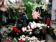 -FEI FEI FLOWER鲜花店·气球派对·宝宝宴布置(虹口德必运动Loft店)