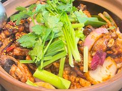 -胡须佬鸡煲四季火锅店(石厦西村直营店)