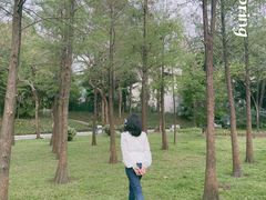 -晓港公园