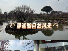 -无锡梅园公园