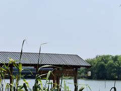 -长田漾湿地公园