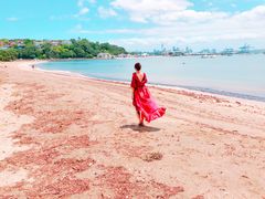 -麦考利夫人座椅