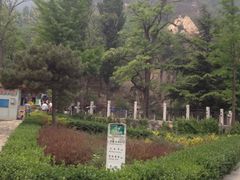 iphone_upload_pic-北京鹫峰国家森林公园