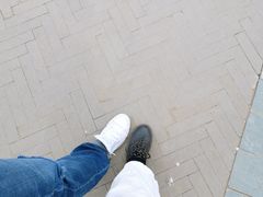 -桃花堤公园