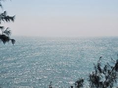 -广东惠东海龟国家级自然保护区