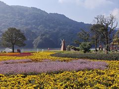 -广州市石门国家森林公园