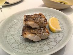 -壹口echo