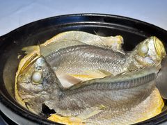 -菉雅苑·湛江菜(前海卓越INTOWN店)