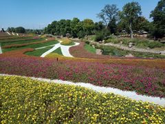 -南通洲际绿博园