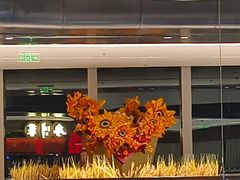 -辛一·铜锣烧(大宁久光店)