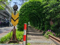 -同济大学(沪西校区)