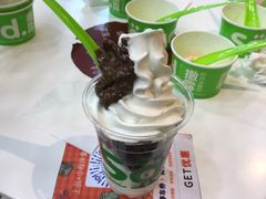 -Salud撒露欧洲冻酸奶(北苑上品店)