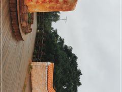 -东寨港红树林旅游区