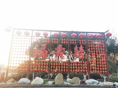 -合肥滨湖国家森林公园