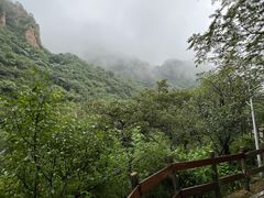 -大岭沟猕猴桃谷风景区