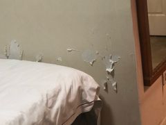 -上海棕榈滩海景酒店