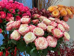 -潮一不贰·法式甜品·生日蛋糕·西式简餐(外滩店)