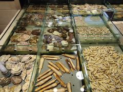 -旺顺阁海鲜广场(亚运村店)