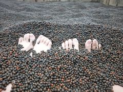 -三江森林温泉度假区