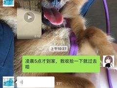 -宠物之家Pets Home 宠物寄养酒店
